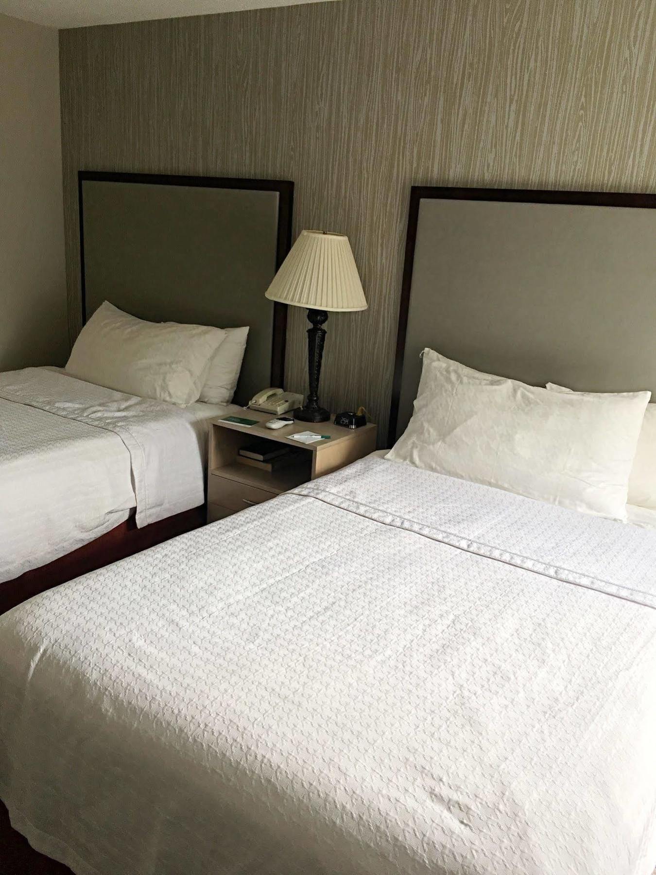 Homewood Suites By Hilton Chicago - Шаумбург Екстер'єр фото